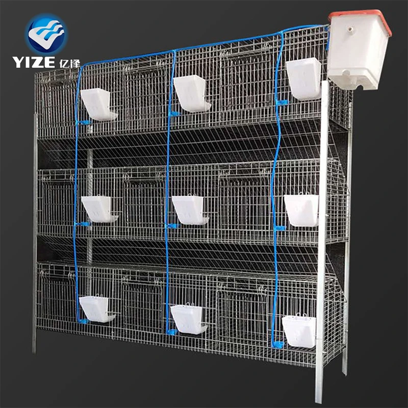 Ventilation and Health: The Key to Happy Rabbits in Transport Cages