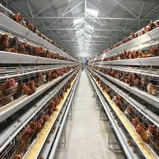 Benefits of Using Poultry Battery Cages for Chicken Production