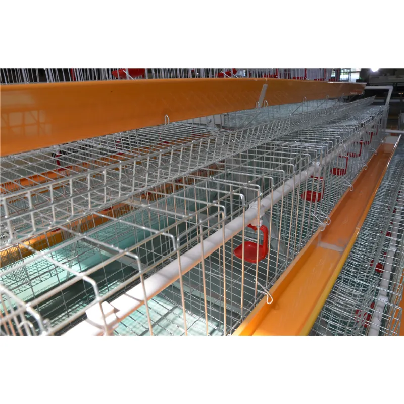8 Advantages Of Raising Chickens In Battery Cages