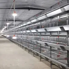 Chicken Feed Production Equipment for Efficient Nutritional Processing Solutions