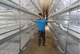 The Advantages of H Type Battery Cages and Automatic Layer Chicken Cages