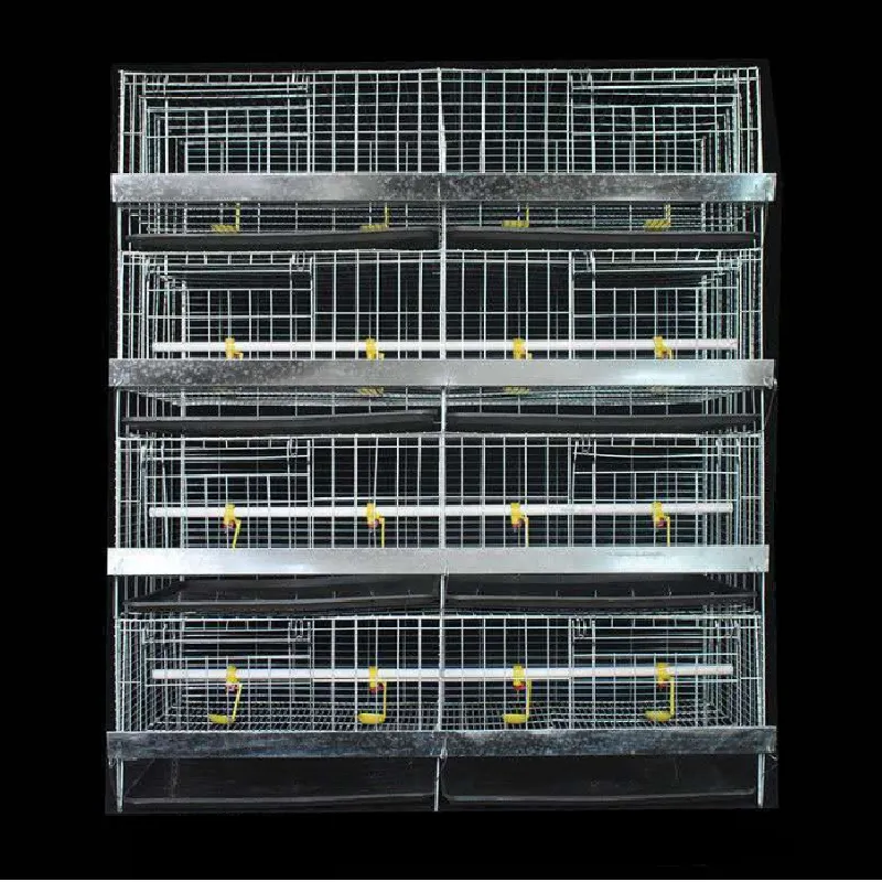 Revolutionizing Poultry Farming with Advanced Layer Cages