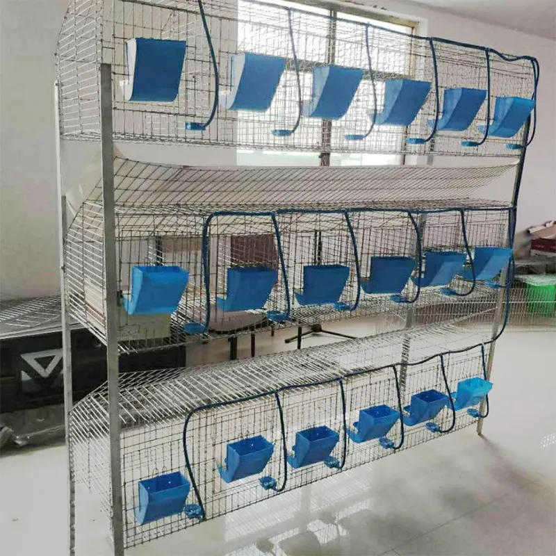 Pros and Cons of Stackable Rabbit Cages vs. Traditional Single-Unit Cages
