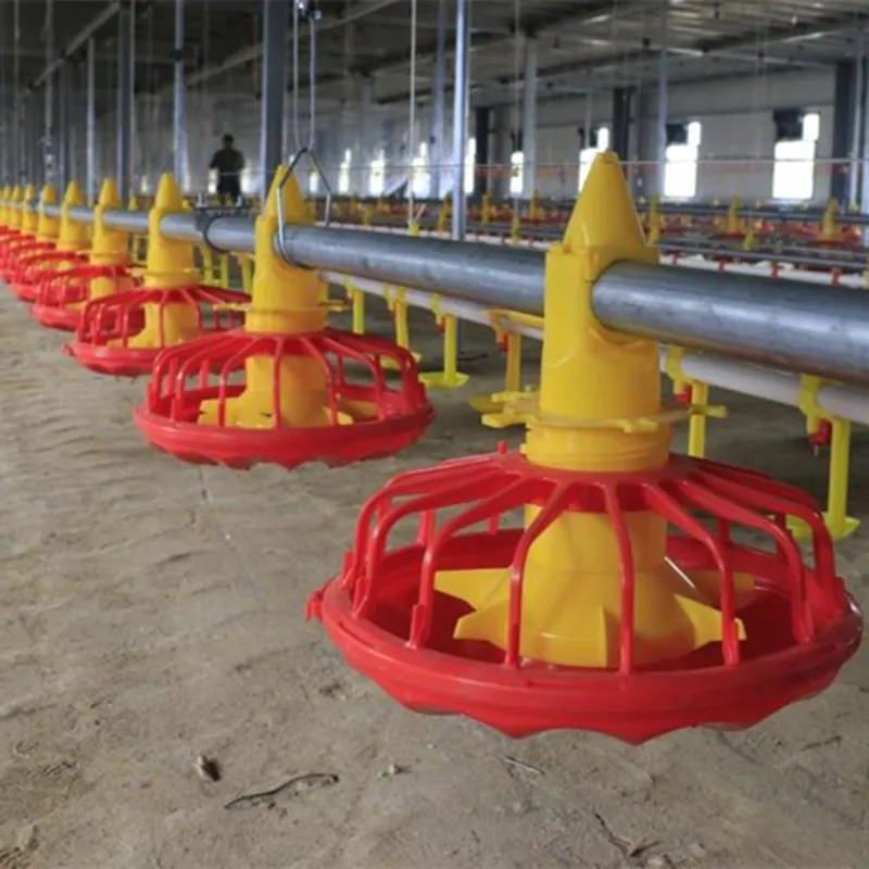 Right Poultry Cage for Optimal Performance