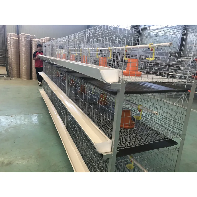 Unlock the Benefits of Poultry Cages for Your Farm