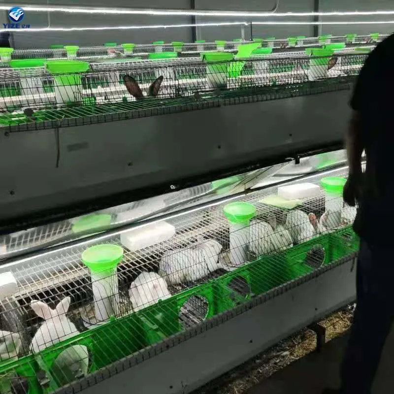 Sustainable Materials and Designs in Rabbit Cage Manufacturing