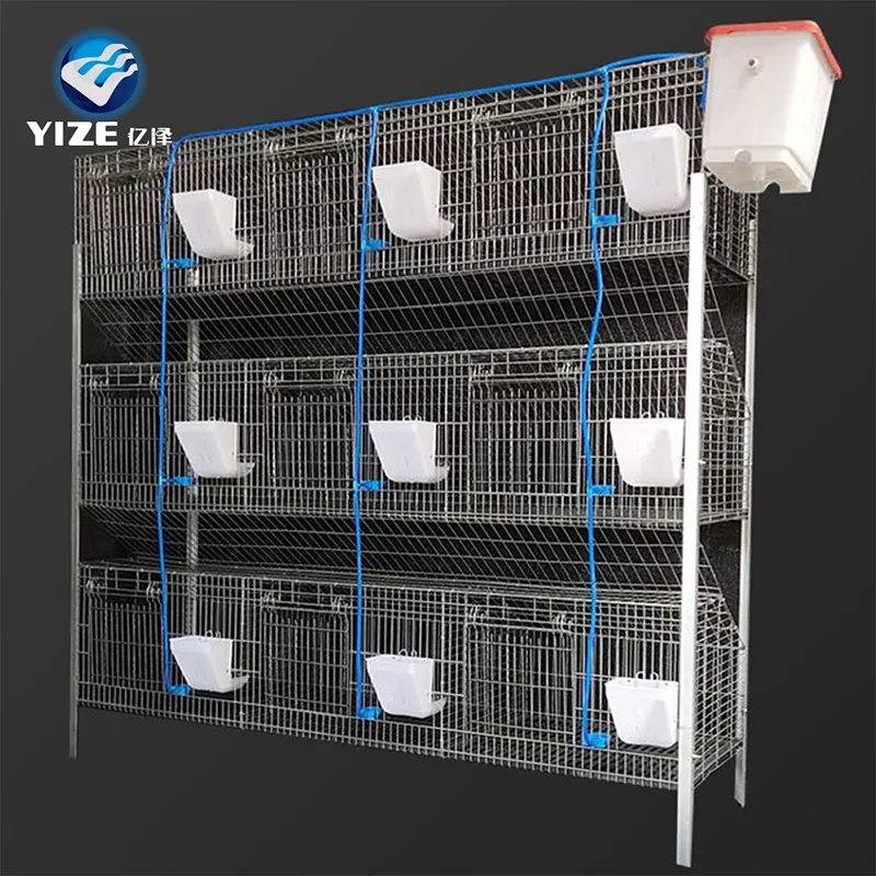 Ventilation and Health: The Key to Happy Rabbits in Transport Cages