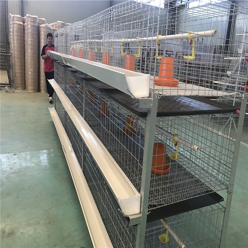 High-Efficiency TMR Feed Mixer for Optimal Livestock Nutrition and Productivity High-Efficiency TMR Feed Mixer for Optimal Livestock Nutrition and Productivity