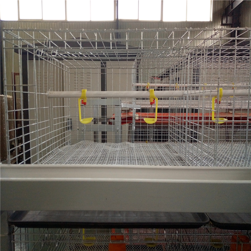 Affordable Used Poultry Cages for Sale Ideal for Small Farms and Backyard Chickens