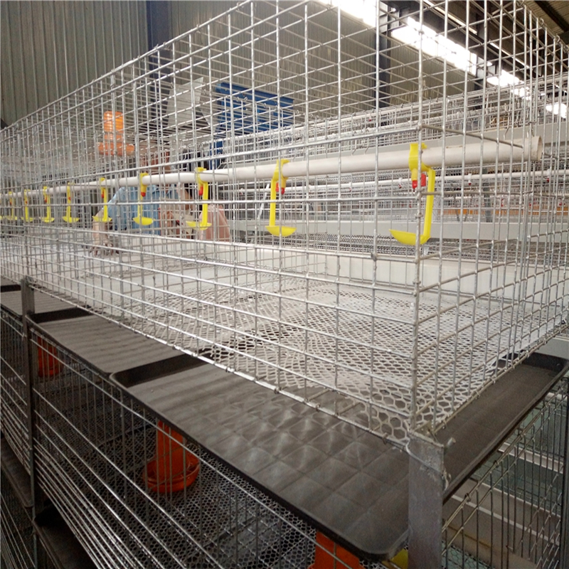 vacuum suction machine for packaging