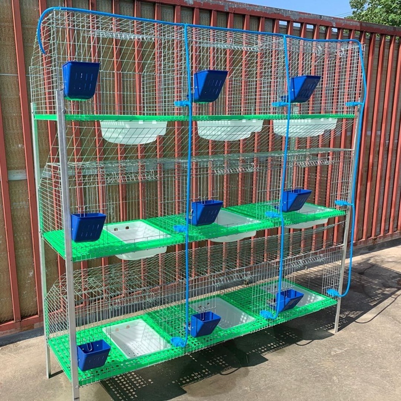 Innovative Poultry Housing Solutions for Enhanced Production and Welfare in Modern Farming Practices