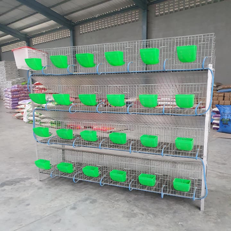 Efficient Air Ventilation Solutions for Poultry Farms and Livestock Operations