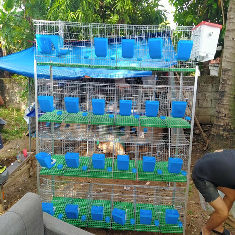 pellet machine for chicken feed