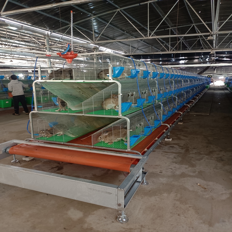 large scale poultry housing large scale poultry housing