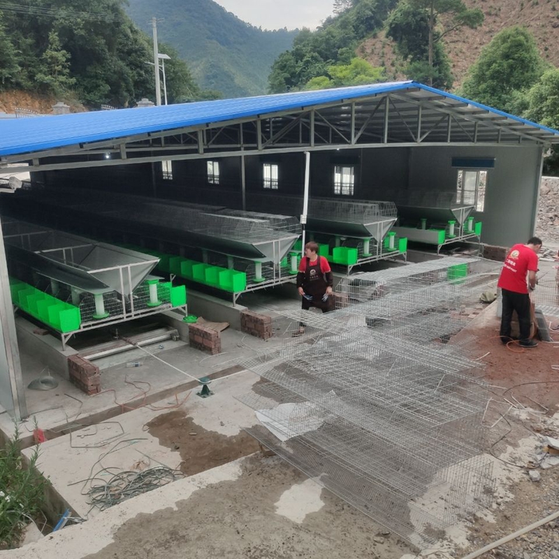 Efficient Solutions for Laboratory Exhaust Fan Systems and Air Quality Management