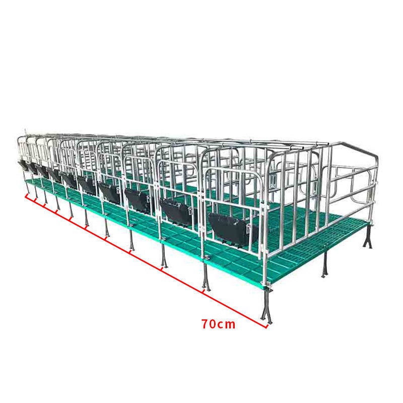 meat cutting machine for chicken body division