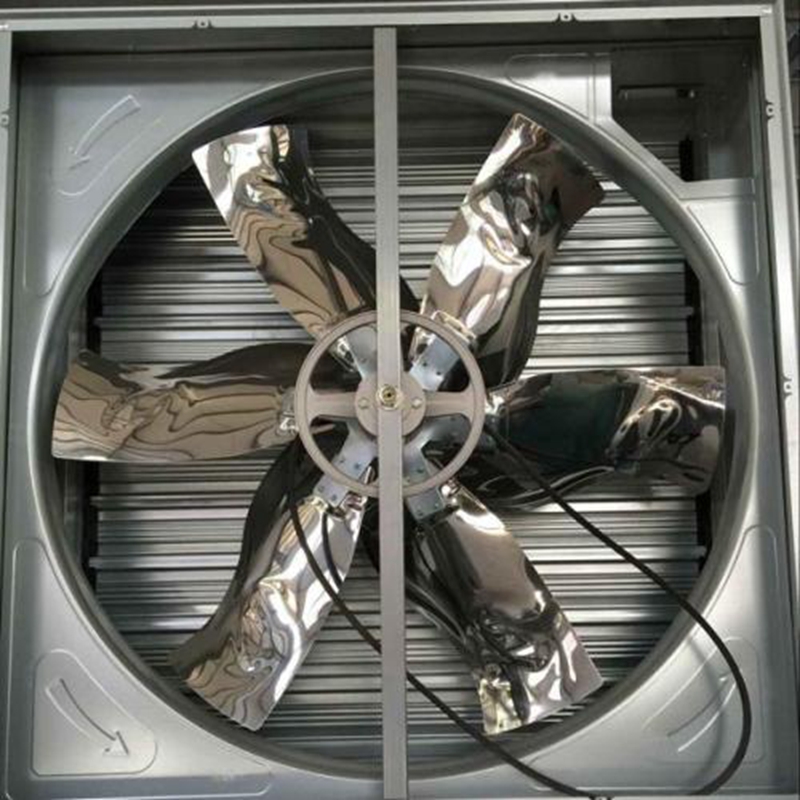 Understanding the Benefits and Challenges of Chicken Cages in Poultry Farming Understanding the Benefits and Challenges of Chicken Cages in Poultry Farming