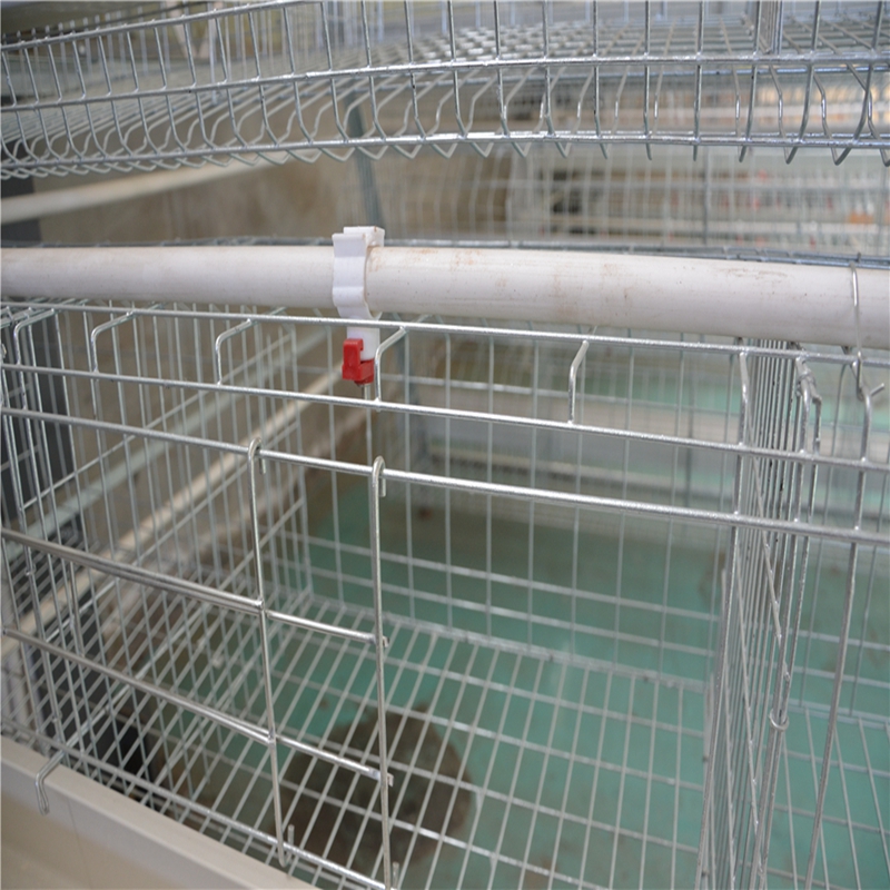 vacuum packaging machine for food