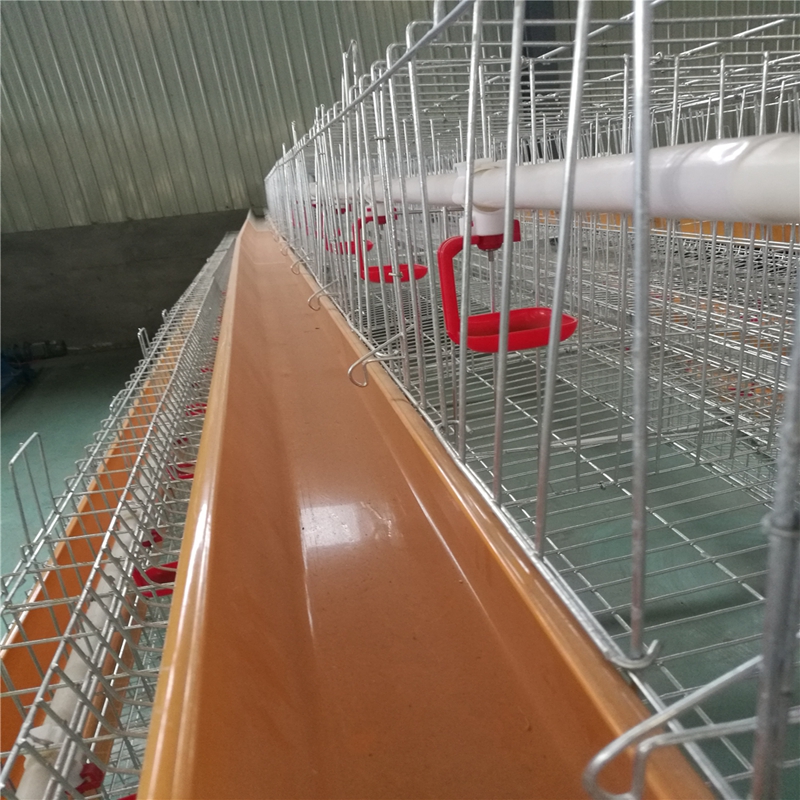 Pig fattening enclosure for efficient weight gain and optimal growth of livestock.