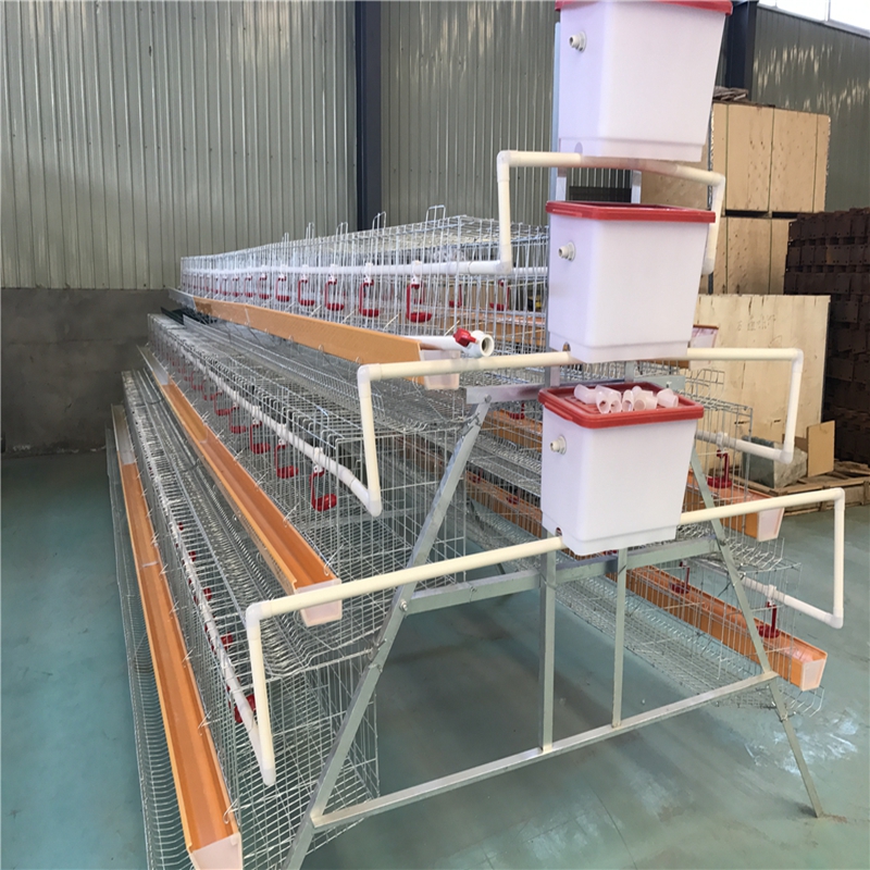 Optimizing Breeding Environment Equipment for Success