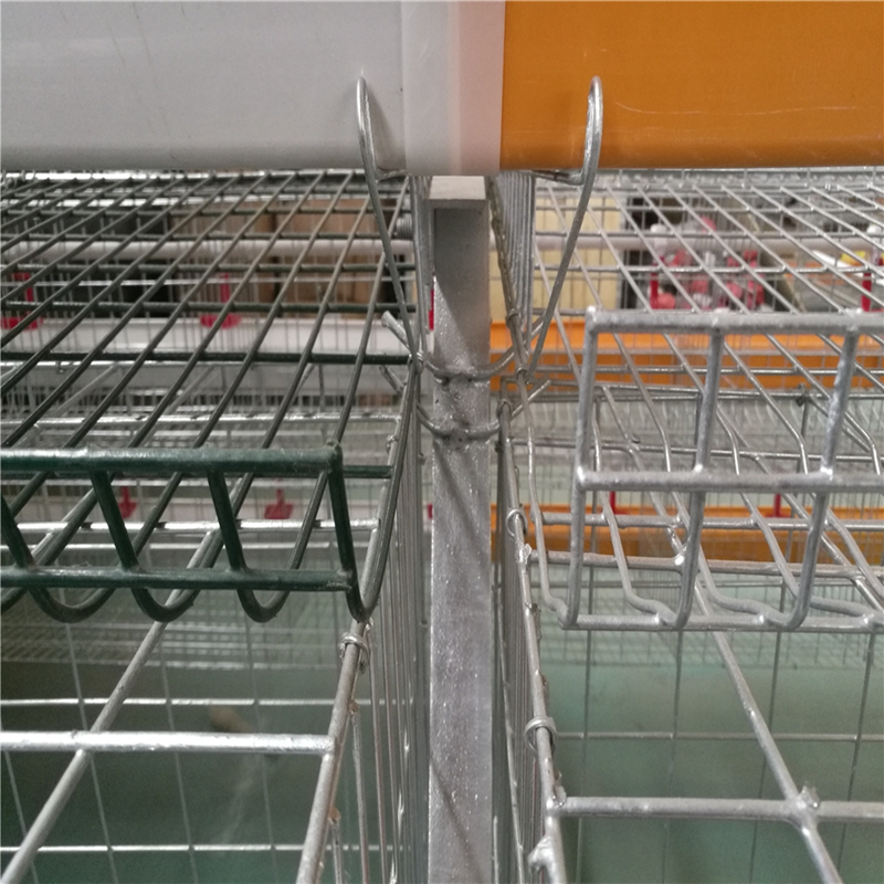 μίνι μηχανή παραγωγής ζωοτροφών ψαριών μίνι μηχανή παραγωγής ζωοτροφών ψαριών