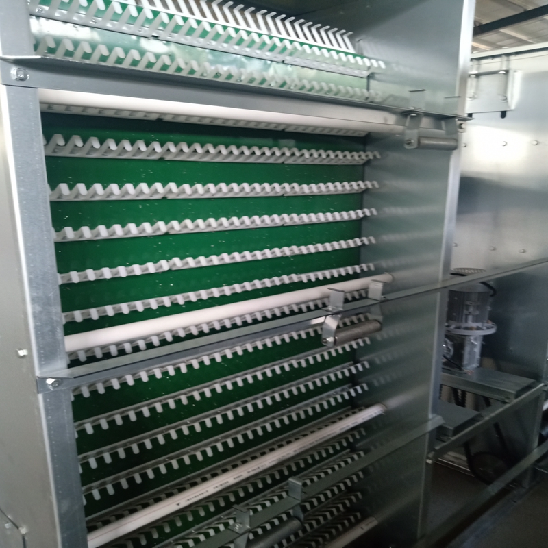 Innovative Solutions for Improving Chicken Cage Designs and Welfare Standards