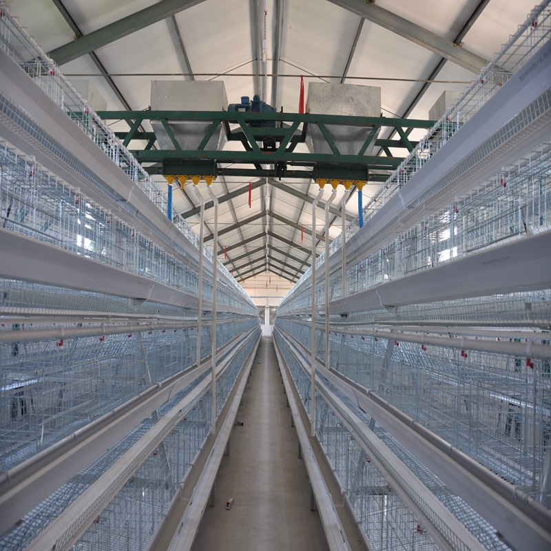 Efficient Rib Cutting Machinery for Precision Meat Processing and Preparation