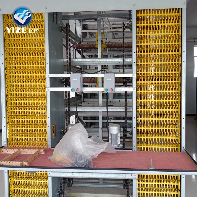 Exploring Layer Housing Solutions for Optimal Poultry Production and Animal Welfare