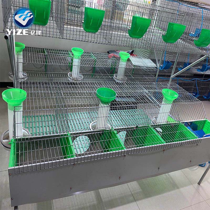 Efficient Designs for Poultry Transport Cages to Enhance Animal Welfare and Logistics Operations