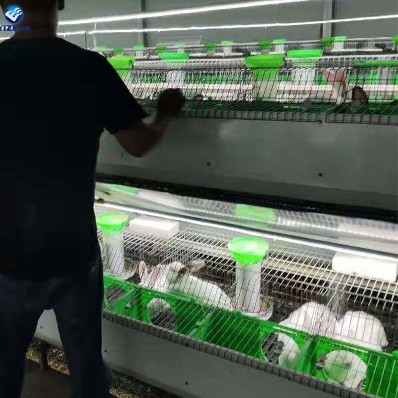 Innovative Solutions for Safe and Efficient Chicken Transport Cages