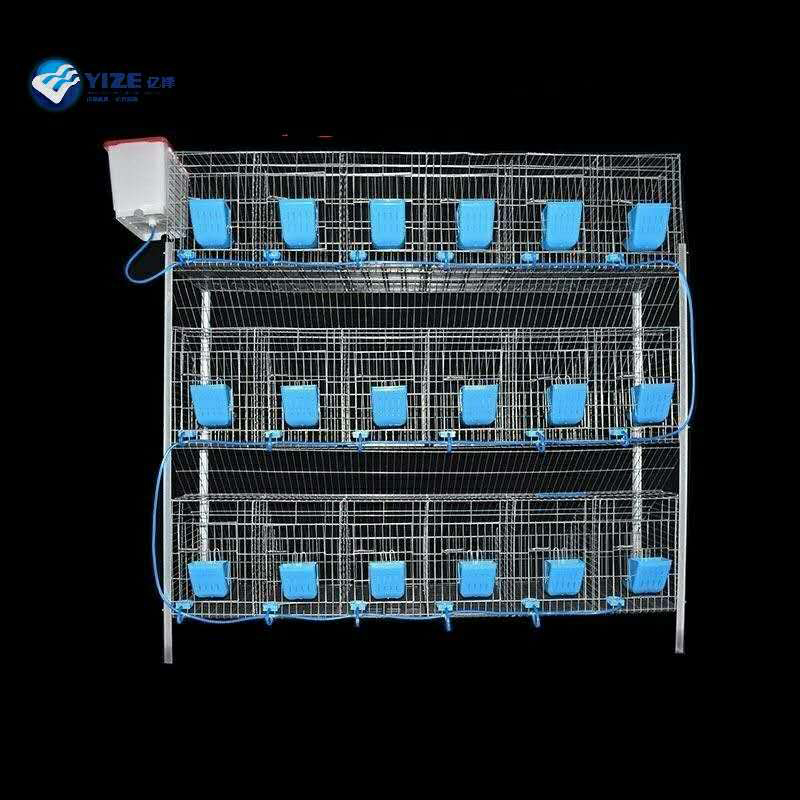 Innovations in Modern Poultry Farming through Automation and Technology Integration