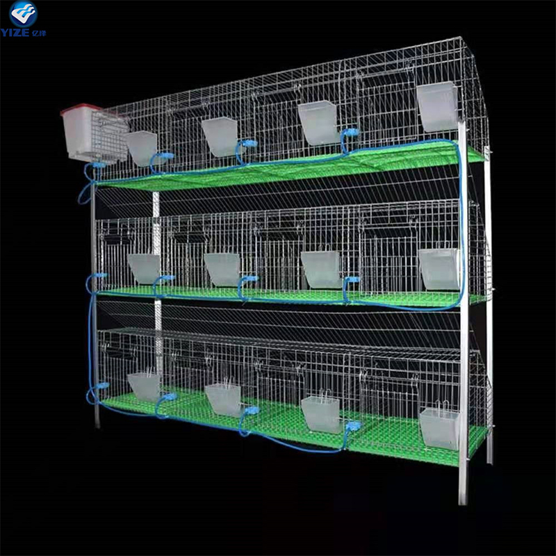 Innovations in Chicken Layer Battery Cage Systems for Enhanced Poultry Farming Efficiency