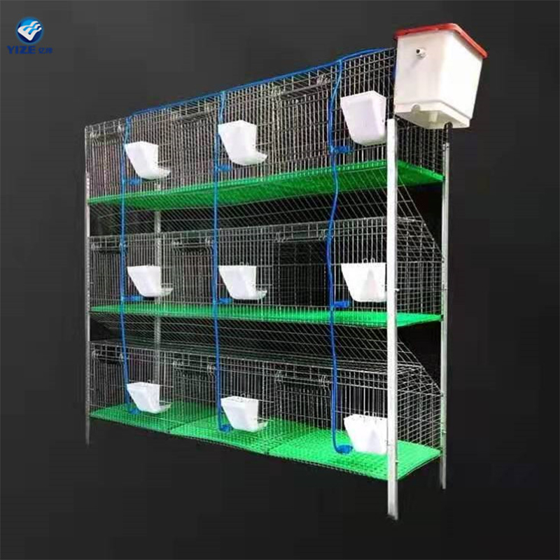 automated poultry cages automated poultry cages