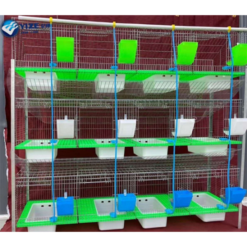 pullet chicken cages pullet chicken cages