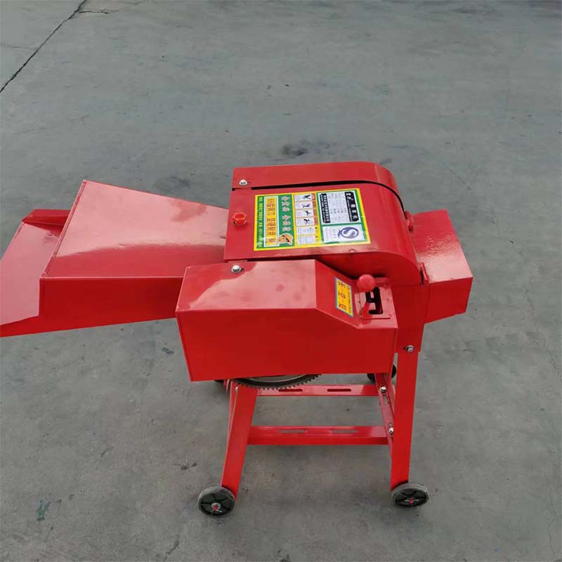 Understanding the Essentials of Rabbit Transport and Safe Cage Practices