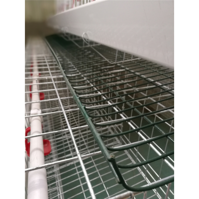 Automatic Whole Control 500bph Chicken Plucker Machine Slaughter Equipment for Wholesale Automatic Whole Control 500bph Chicken Plucker Machine Slaughter Equipment for Wholesale