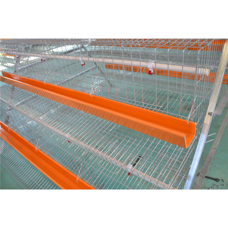 H type  3 or 4 tiers broiler chicken cage