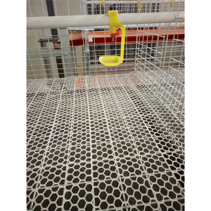 Automated Chicken Scalder for Efficient Poultry Processing Solutions