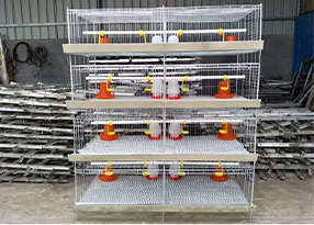 Vertical Vacuum Packing Machines for Efficient Food Preservation and Storage Solutions