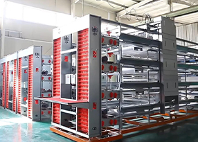 Food Vacuum Packaging Equipment for Preserving Freshness and Extending Shelf Life