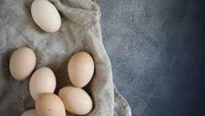 Effective Poultry Cages for Layer Chickens for Optimal Egg Production Effective Poultry Cages for Layer Chickens for Optimal Egg Production