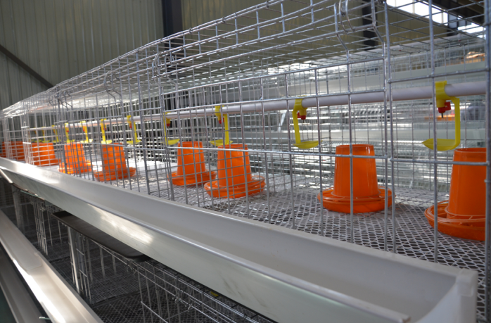 Leading Manufacturer of Floating Fish Feed Production Equipment and Solutions