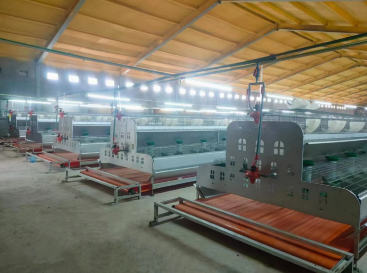 Tamamilə avtomatik vakuum paketləmə maşını üçün mükəmməl həll yolu