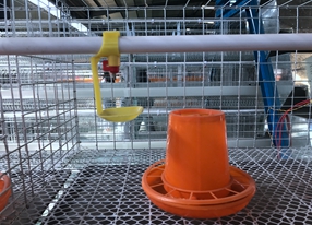 feed pellet cooler