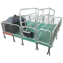 Machine for manufacturing trays for holding eggs, efficient and high-quality production process.