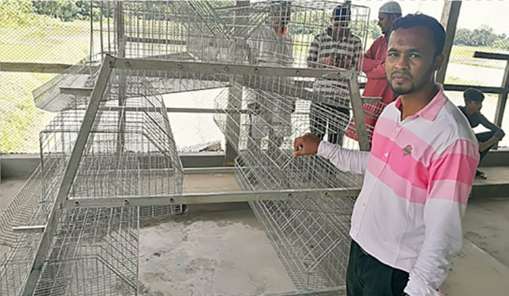 Designing an Innovative Solution for Pig Enclosures and Sustainable Farming Practices