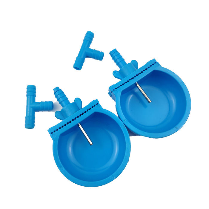 3% rabbit holes in a whimsical cage exploring the wonders of nature and curiosity in life 3% rabbit holes in a whimsical cage exploring the wonders of nature and curiosity in life