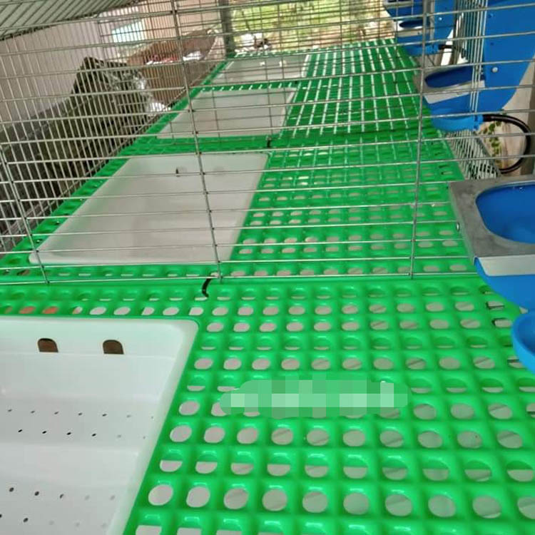 Machine for cleaning quails by removing feathers and skin efficiently for processing.