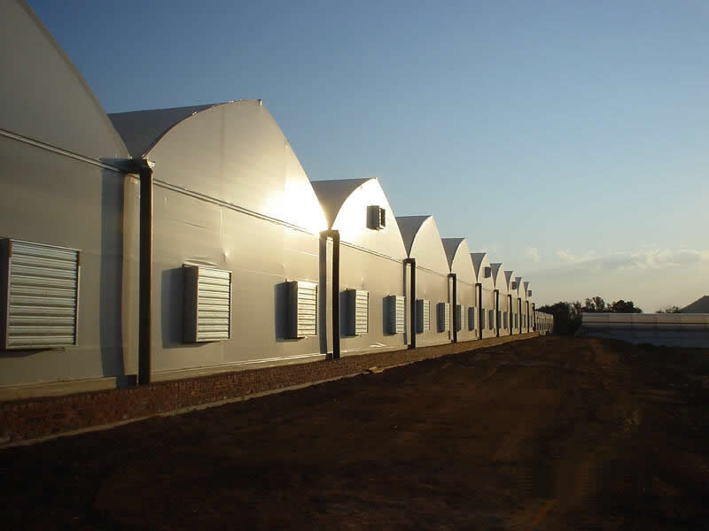 Automatic egg collecting system egg collection machine