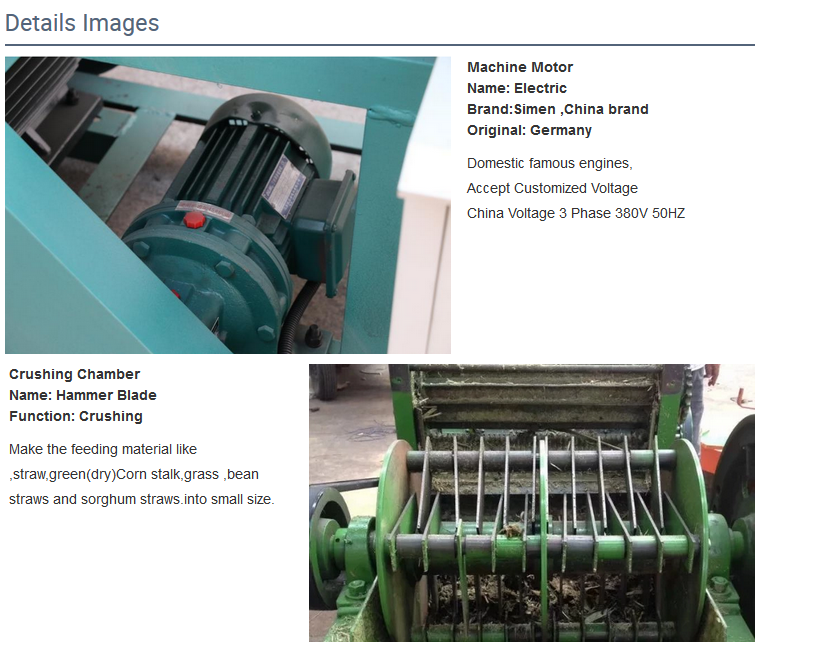 A Cozy Home for Happy Pigs in the Farmyard